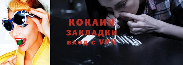 стаф Алзамай