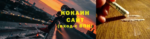 стаф Алзамай