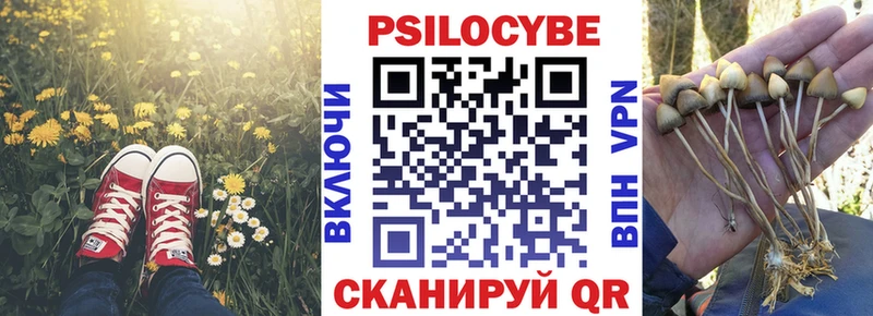 Псилоцибиновые грибы Psilocybine cubensis Волгоград