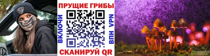купить наркотики цена Волгоград Галлюциногенные грибы Magic Shrooms